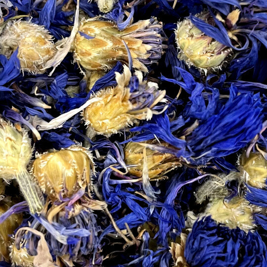 Flower Garden! Cornflowers 1/2 oz - Introducing Dried flowers to add to dry blends, fresh food, and toys! by China Prairie