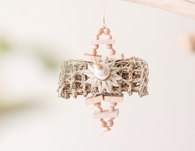 Daffodil - Foraging Toy for small and medium parrots, all natural, by Little Dinos