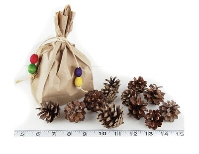 NEW! Bag o' Mini Pine Cones by Cheep Thrills Bird Toys