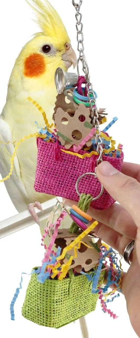 Duo Swiss Shopping Bag Hanging Toy for Tiny and Small Birds