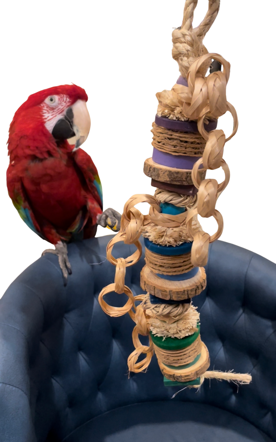 Willow Medium hanging toy for Medium and Large Size Birds by Bite Me Birdie