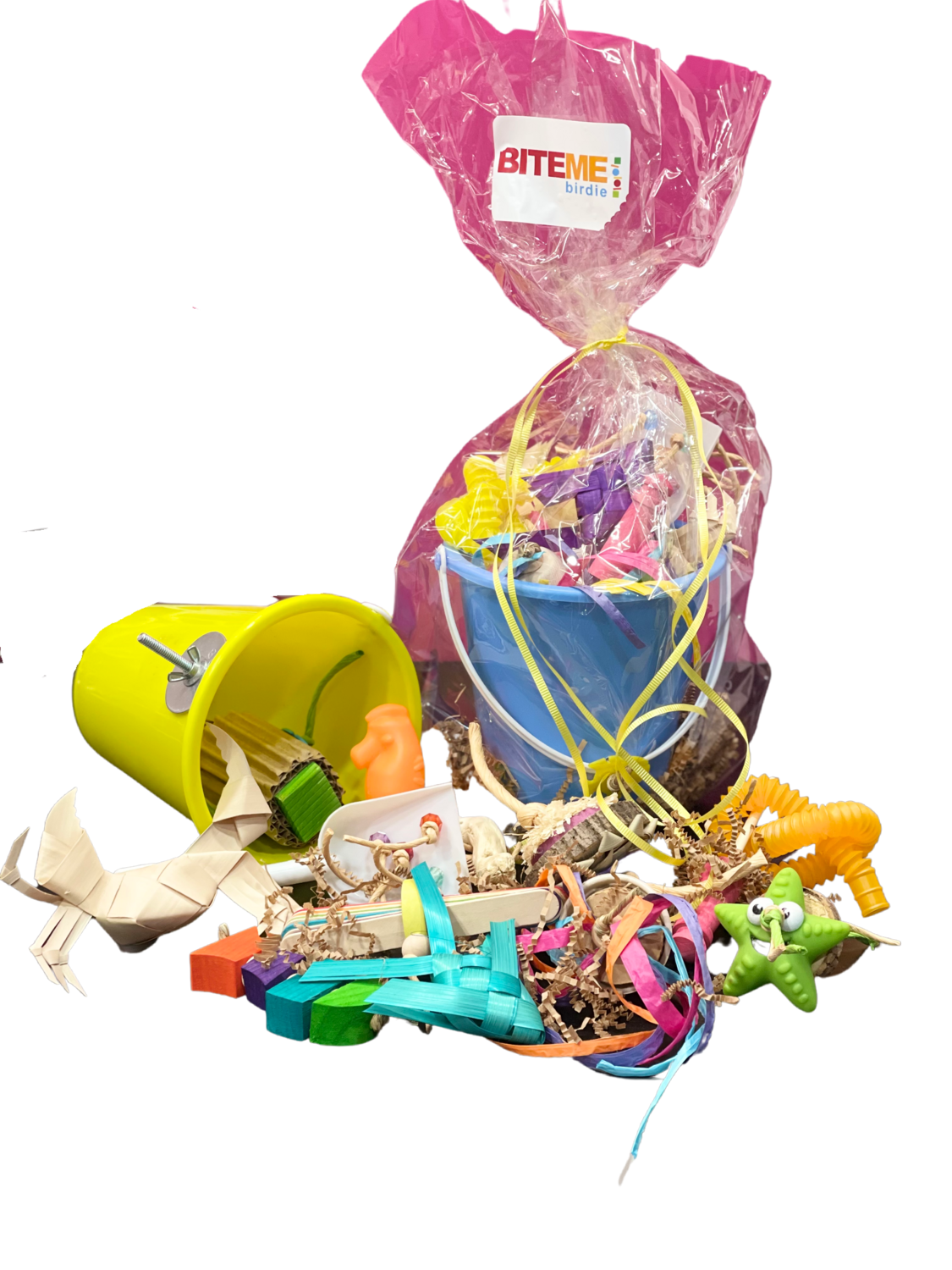 Sandy - Cage Mount Beach Bucket with a variety of summer fun foot toys! - By Bite Me Birdie
