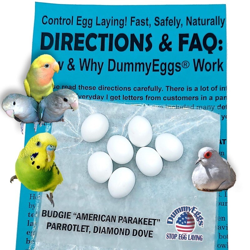 Set of 7 Budgie, Parrolet, American Parakeet Budgie (Budgerigar) DiamondDove DUMMYEGGS®