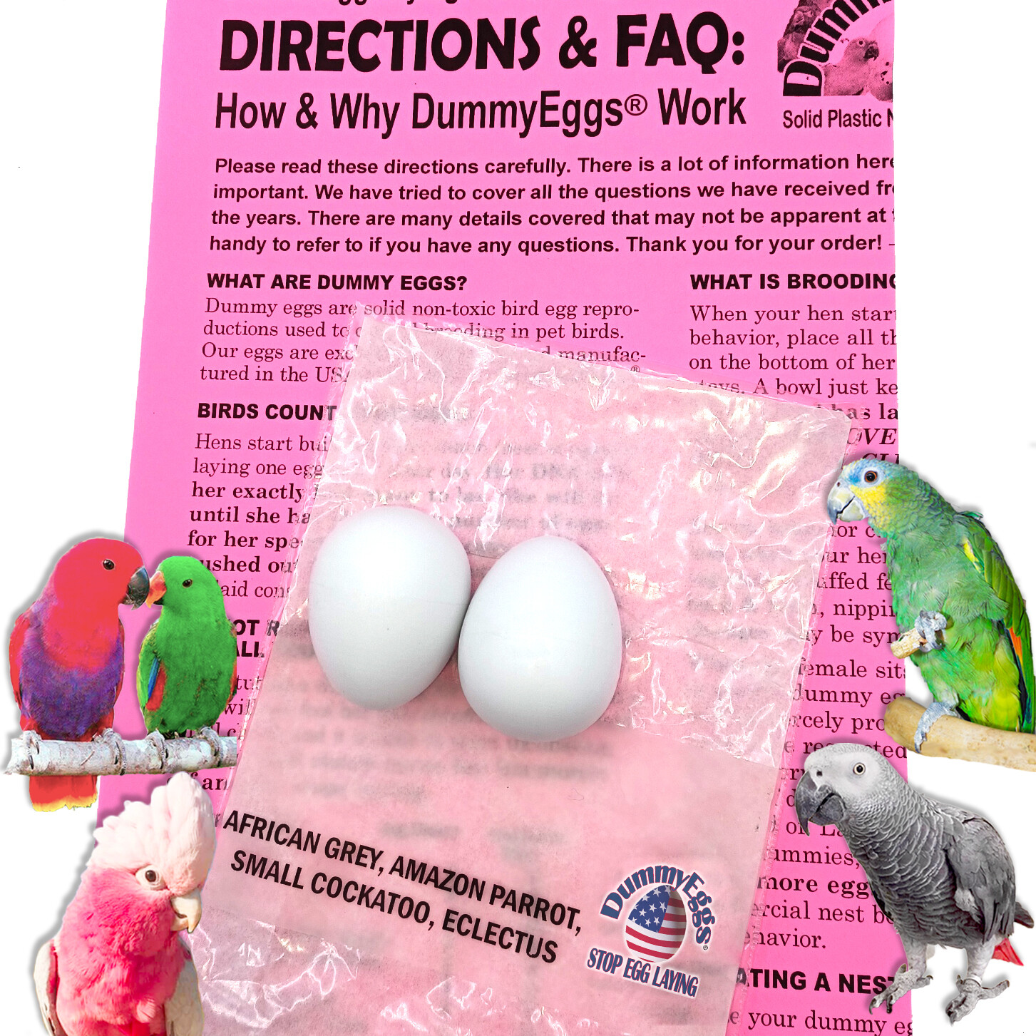 Set of 2 Medium Parrot - African Grey, Eclectus, Amazon, Small Cockatoo or Small Macaw DUMMYEGGS®