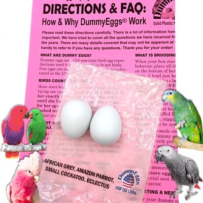 Set of 2 Medium Parrot - African Grey, Eclectus, Amazon, Small Cockatoo or Small Macaw DUMMYEGGS®