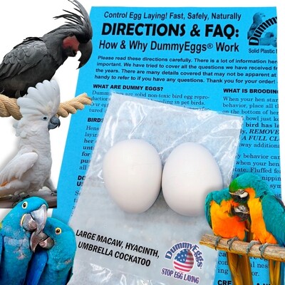 Set of 2 Large Parrot - Realistic Macaw, Hyacinth, Cockatoo DUMMYEGGS®