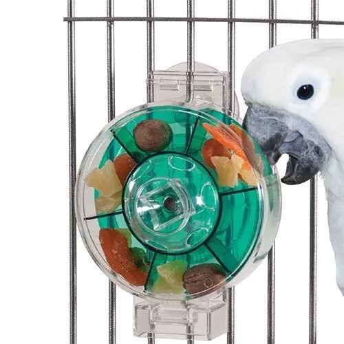 Foraging Wheel Gen II (8" x 6") clear & green acrylic great for medium and large birds