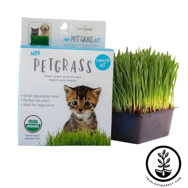 Organic Mini Wheat Grass Pet Grass Microgreen Kit by TrueLeafMarket