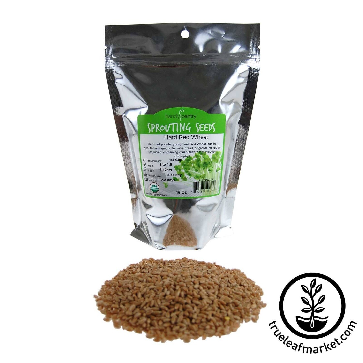 1Lb Wheat Grass Seeds for Microgreen Growing or Sprouting - Hard Red Spring Organic