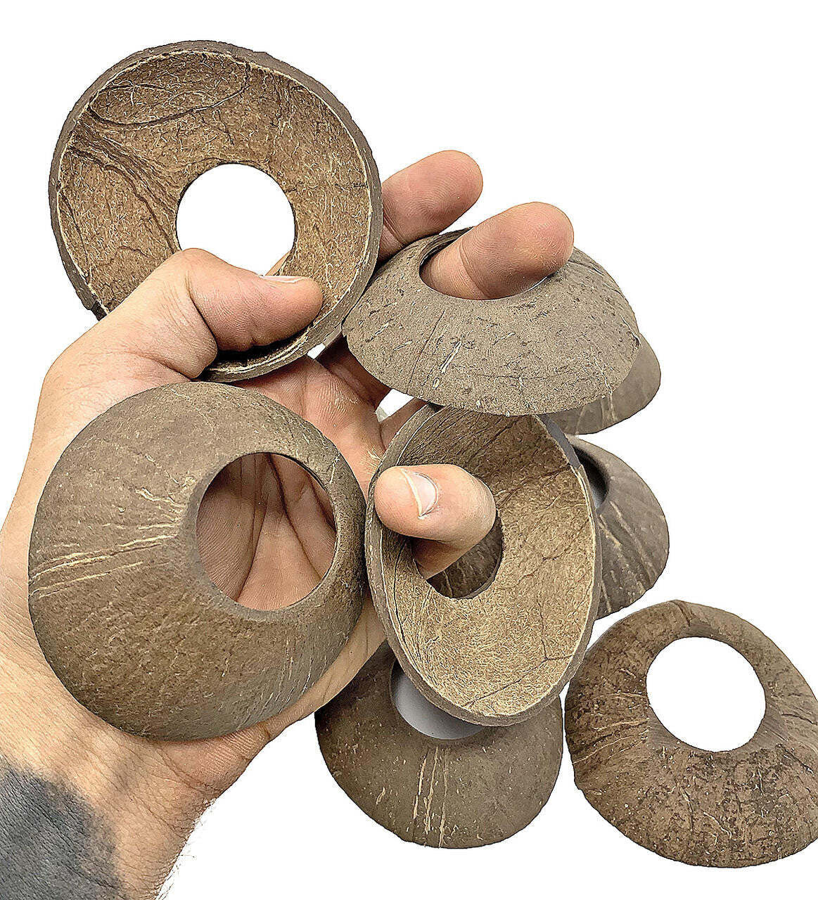 Large Coconut Disks 6 Pack by Bonka Bird Toys