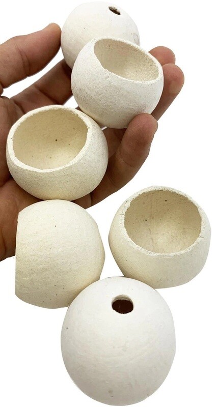 Small Foraging Cup 6 Pack by Bonka Bird Toys