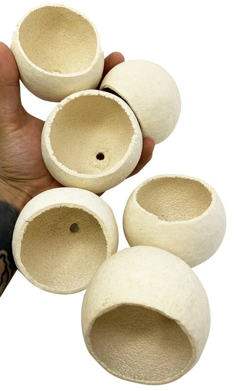 Large Foraging Cup 6 Pack by Bonka Bird Toys