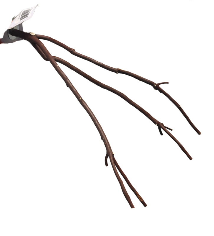 Bolt-on multi branch manzanita perch medium size for tiny &amp; small birds ~ approx. 16&quot; by Caitec