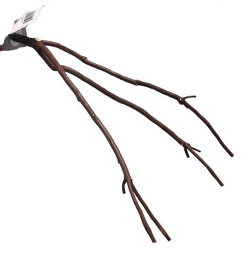 Bolt-on multi branch manzanita perch for tiny birds ~12"