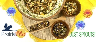NEW! Just Sprouts! - Ready to Serve