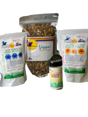Dream Quick Soak Veggie and Sprout Bundle