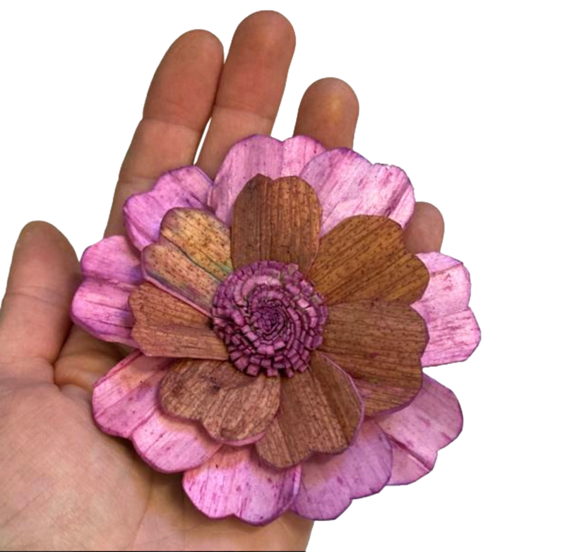 Bloomin' Sola Tulipwood Flower 3pc by Feathered Addictions
