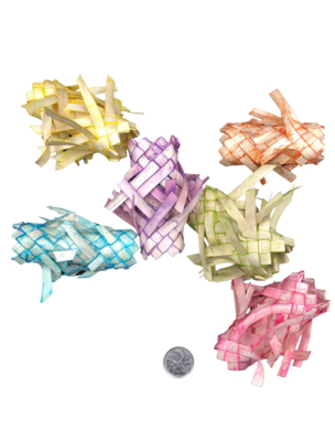 Colorful Spiky Fat Palm Chews 5pc by Feathered Addictions