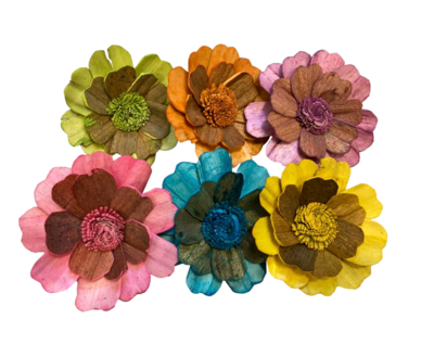 2.5" Bloomin' Sola Tulipwood Flower 6pc by Feathered Addictions
