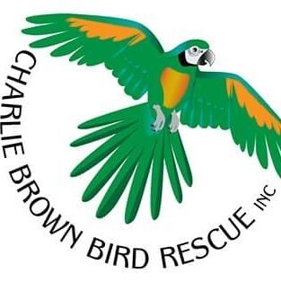 Charlie Brown Foster & Rescue Boxes