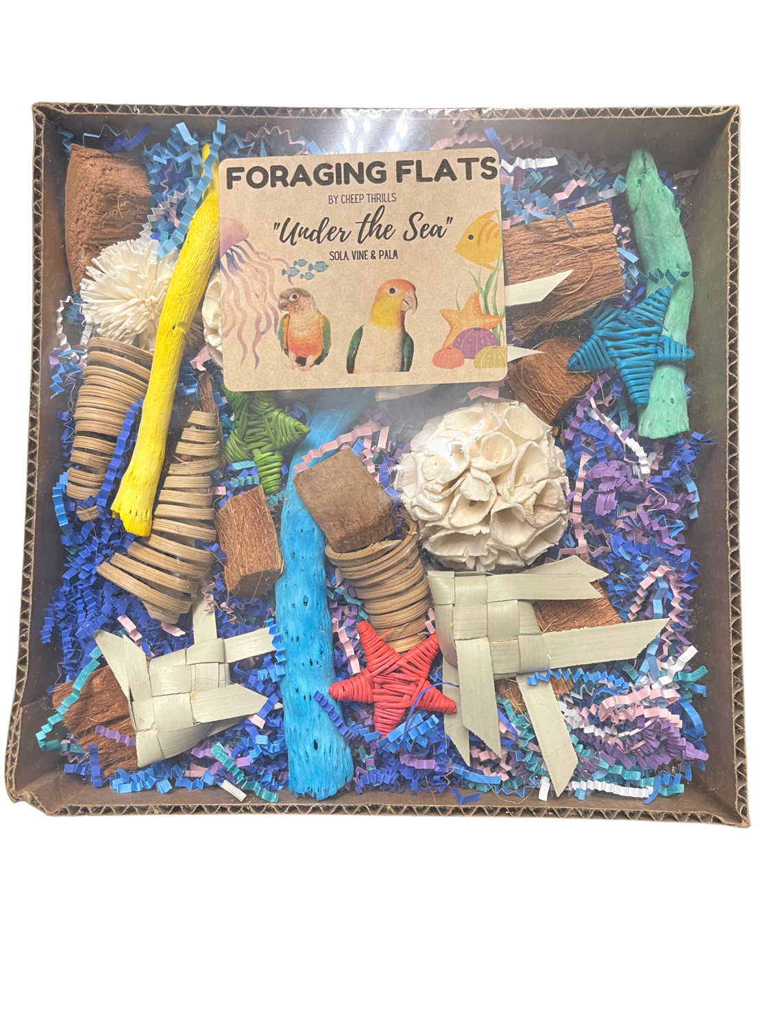 NEW! Under the Sea Foraging Flat by Cheap Thrills Bird Toys