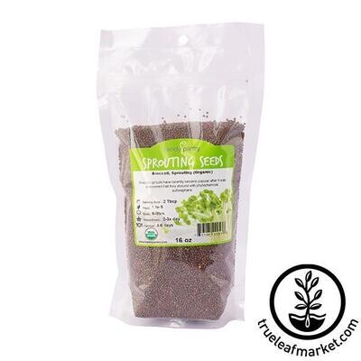 1lb Organic Broccoli for Sprouting by True Leaf Market