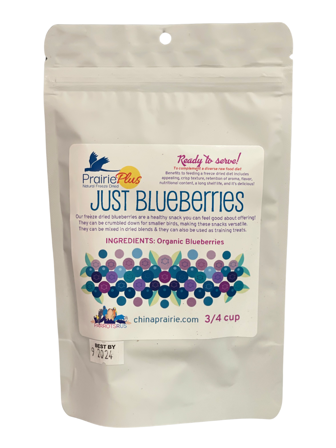 Just Blueberries! 3/4 Cup by China Prairie