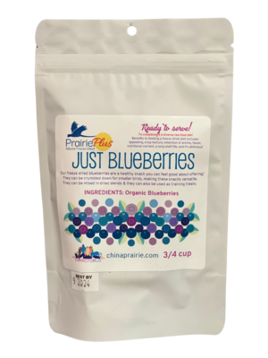Just Blueberries! 3/4 Cup by China Prairie