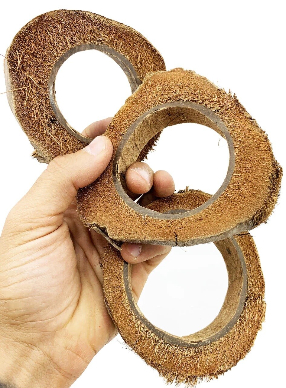 3 Pack Large Coconut Slices