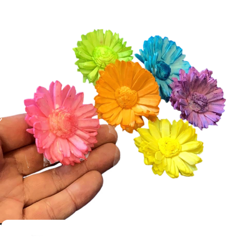 Mini Sola Daisies - 10 pc by Feathered Addictions