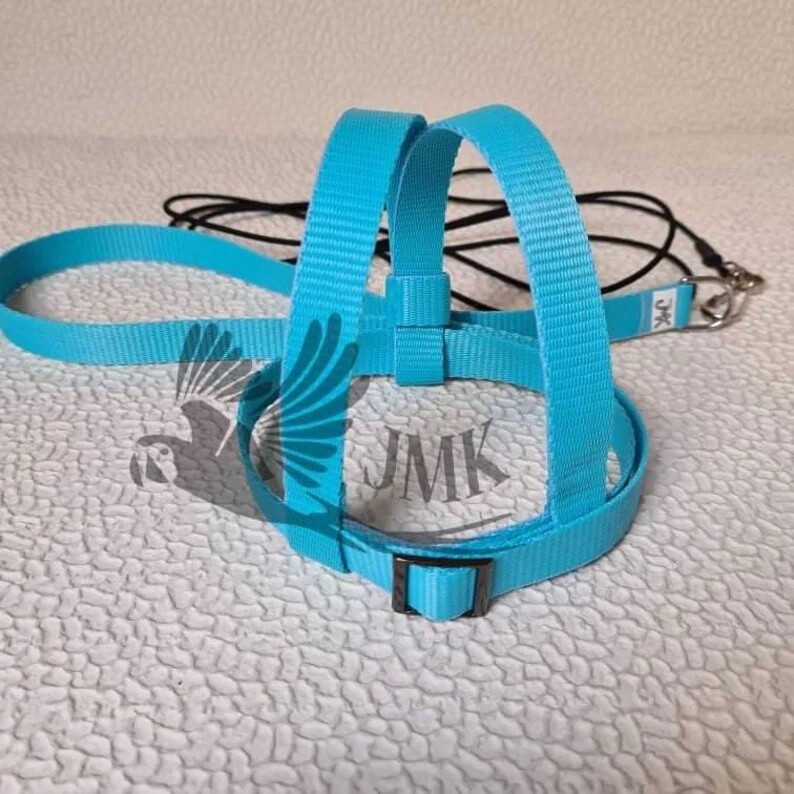 JMK Harness and Leash - Color Light Blue, Size X-Large: 1100+ grams: Lg Moluccan, Green Winged Macaw, Hyacinth