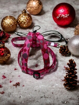 JMK Harness and Leash - Color Gorgeous Pink & Red Print, Size Large: 600-1100 grams: Lg Macaws, Triton, Sm. Moluccan, Black Palm, etc
