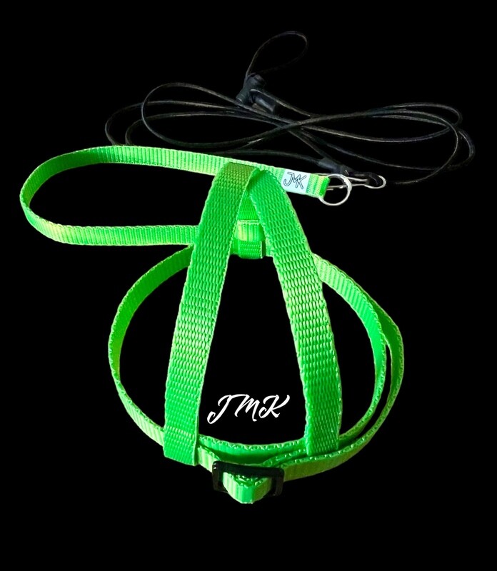 JMK Harness and Leash - Color Bright Green, Size Small: 190-425 grams: