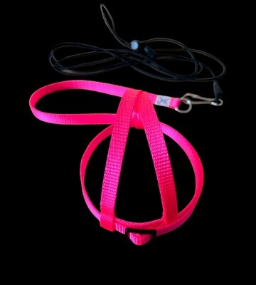 JMK Harness and Leash - Color Pink - Size Medium: 425-600 grams: Eclectus, Med. Macaws (Severee, Red Fronted), Lg Amazons (Double Yellow, Yellow Nape), Umbrella, Congo Grey