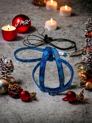 JMK Harness and Leash - Color Gorgeous Blue Print, Size Small: 190-425 grams:
