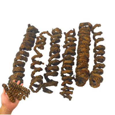6 Pack of Natural Palm Springs - Excellent to fill in the foraging flats, toy buckets or add to foraging toys.