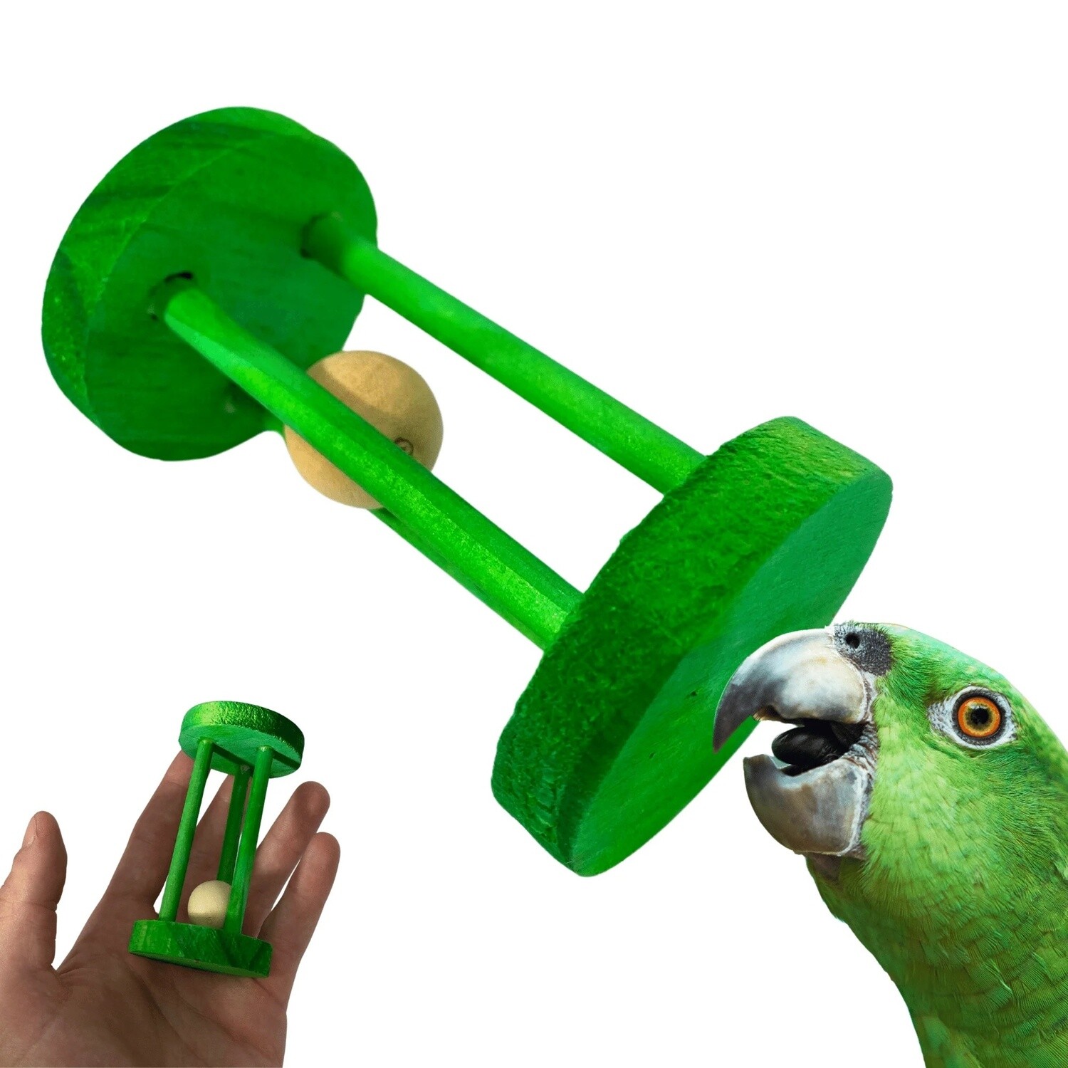 Rattle Cylinder Green Foot Toy by Bonka Bird Toys