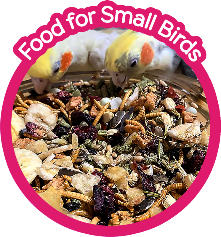 Food for Small Birds (Feeding System = Dry Blend + Fresh Recipe + Supplements)