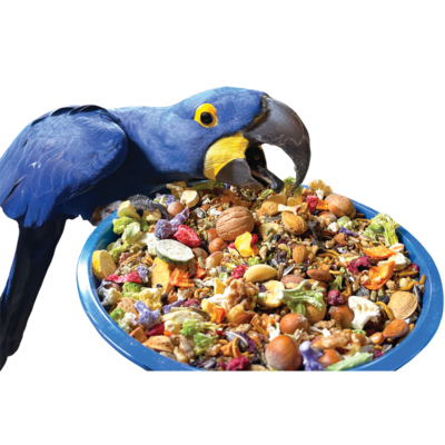 Dry Blends for Large Birds