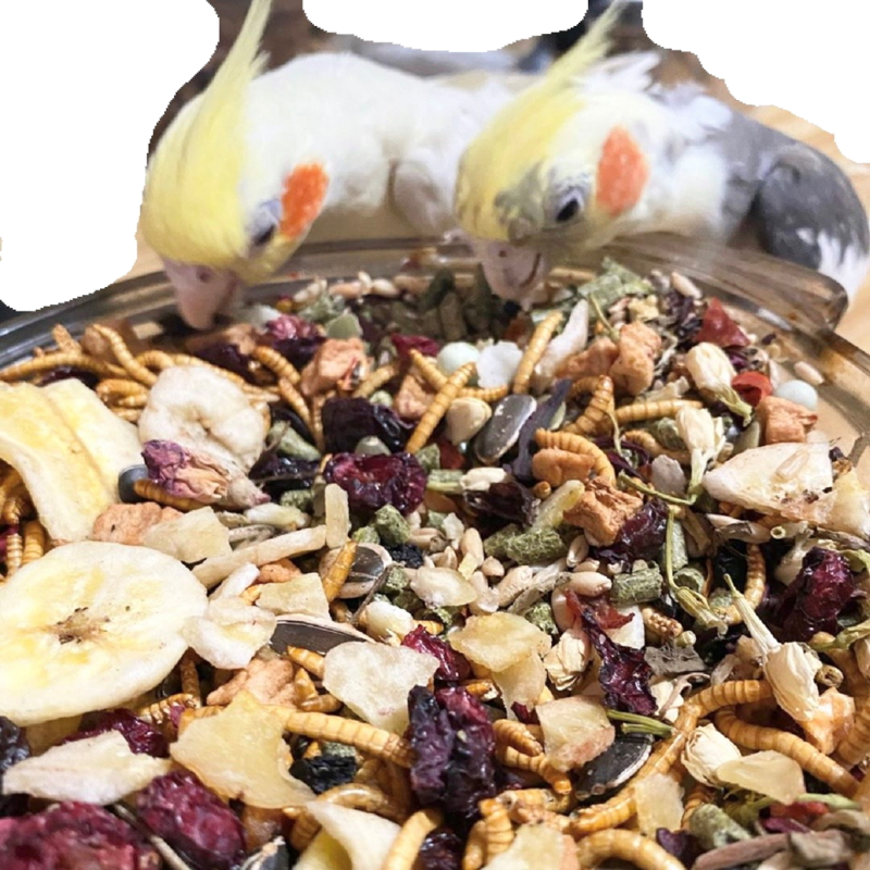 Better Bird Food Bundle Boxes