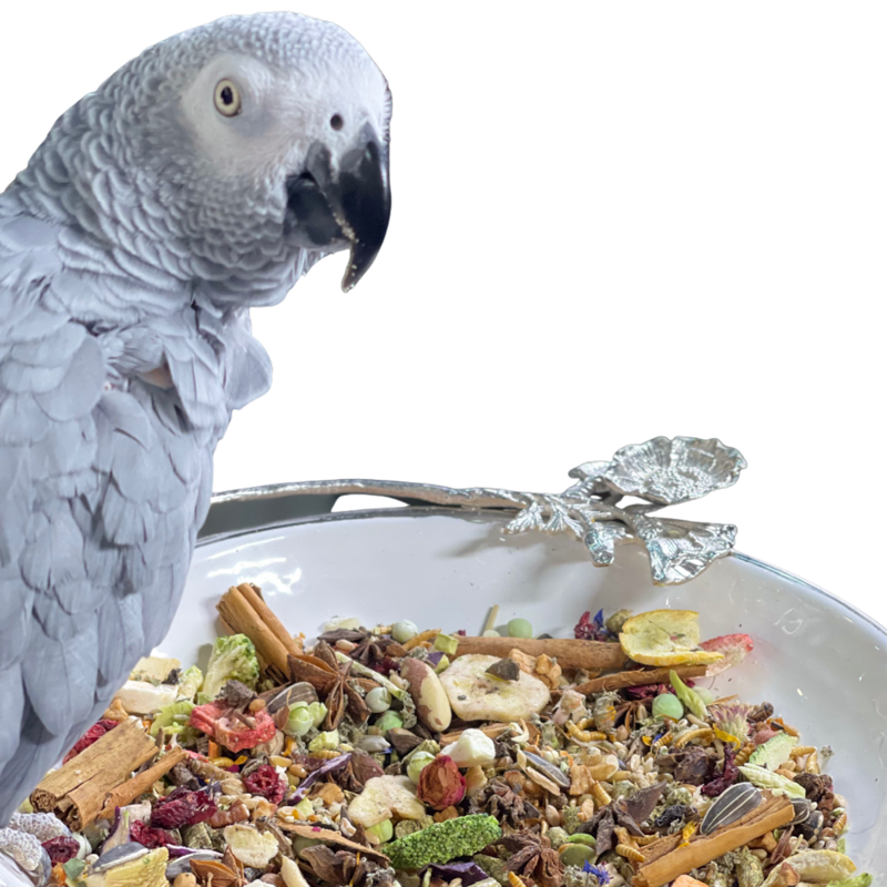 Even Better Bird Food Bundle Boxes
