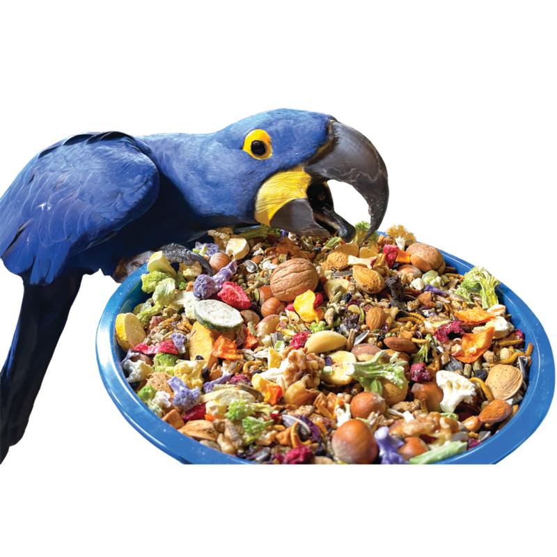 Best Bird Food Bundle Boxes