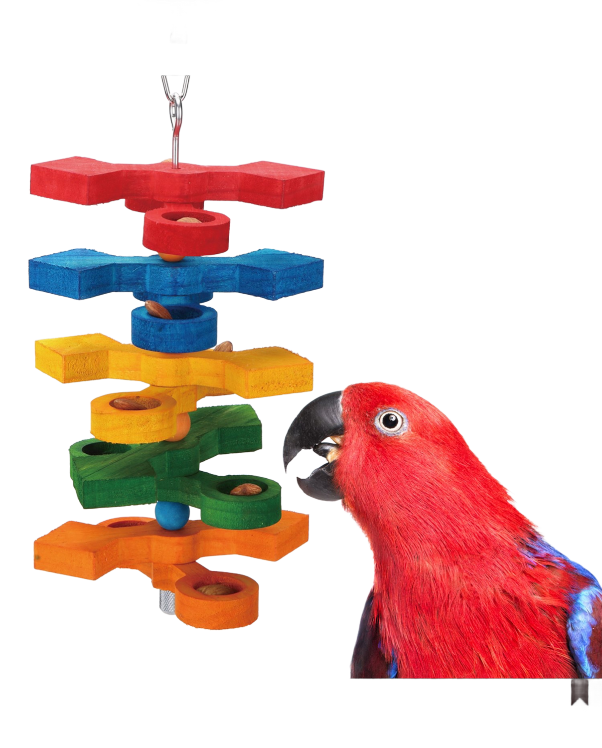 Hide & Seek Toy from Super Bird Creations