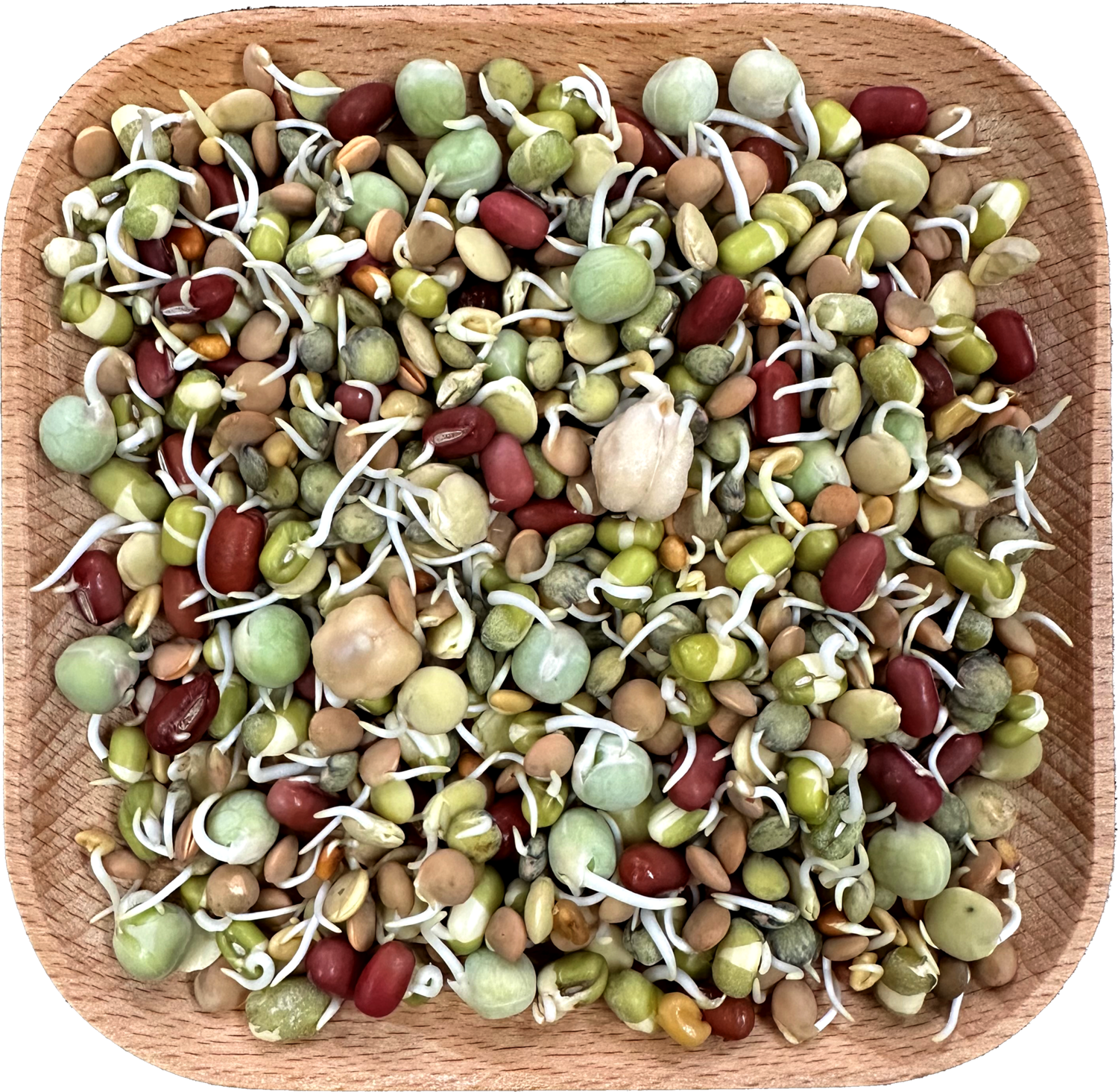 Bean Supreme! Wheat Free Sprout Blend 1 lb