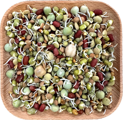 Bean Supreme! Wheat Free Sprout Blend 1 lb