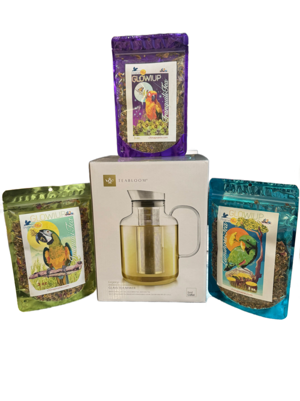 Extra Large Teabloom Multi-brew Glass Teapot + Kettle + Pitcher (85 oz - 1.5 Liter) PLUS Avian Tea Bundle -- FREE Shipping!
