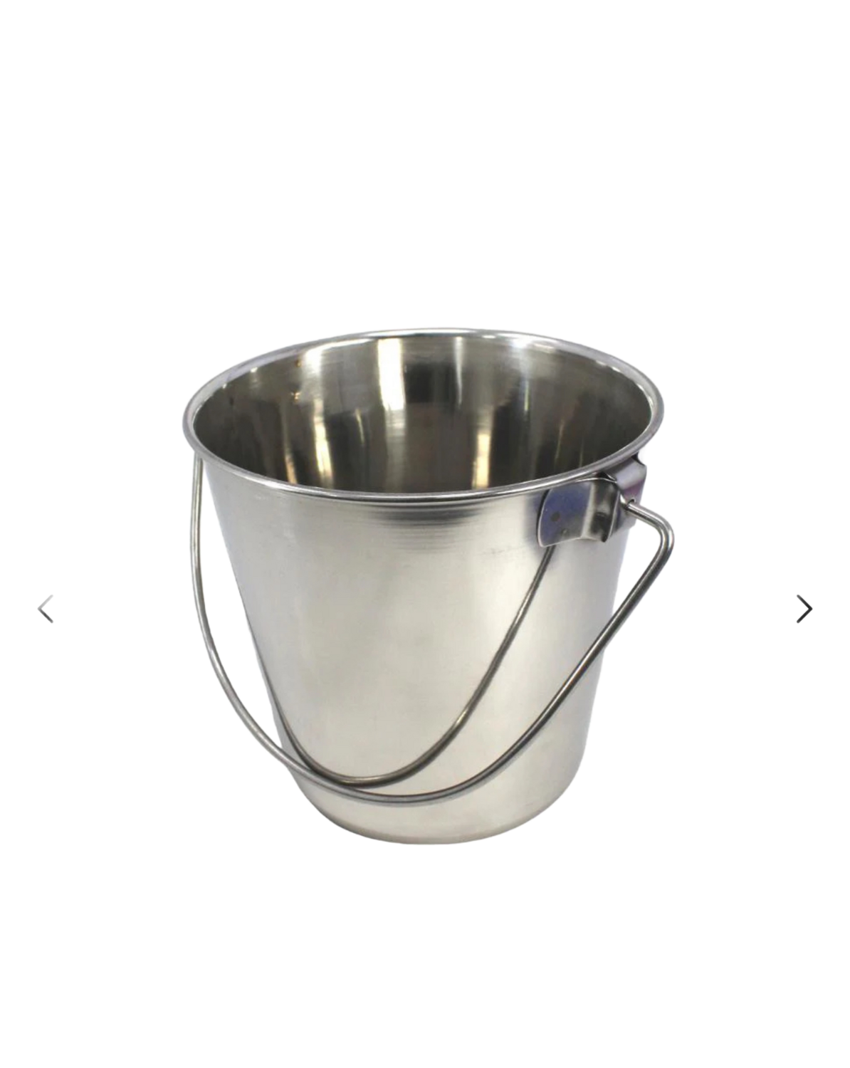Small 1 Quart Stainless Steel Toy Bucket - Medium Parrot