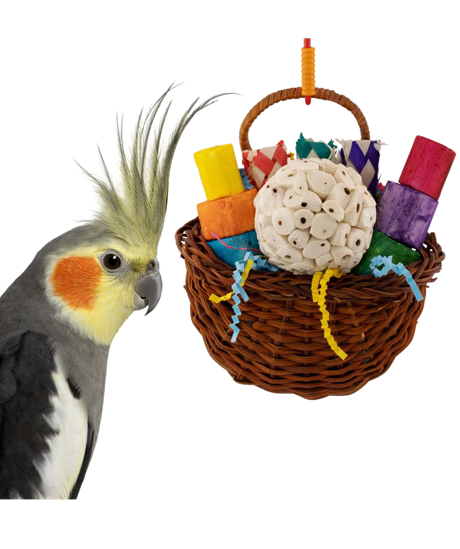 Sola Party Basket by Super Bird Creations