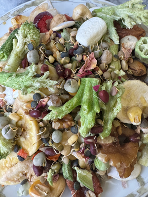 Special Large Parrot Dry Meal PLUS Bean Sprouts - Large Bird, especially Macaws, Cockatoos -- They are going to LOVE this!