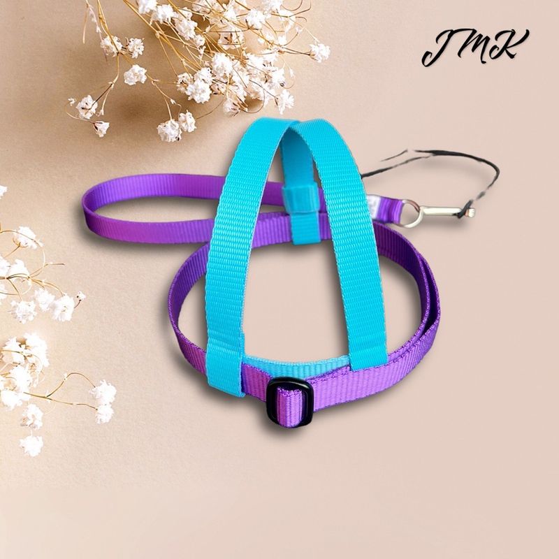 JMK Harness and Leash - Colors Light Blue and Purple, Size Large: 600-1100 grams: Lg Macaws, Triton, Sm. Moluccan, Black Palm, etc